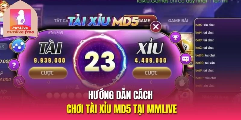 Hướng dẫn cách chơi Tài Xỉu MD5 tại MMLIVE